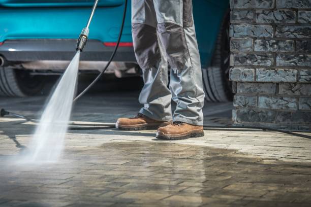 Professional Pressure Washing Services in Amite City, LA